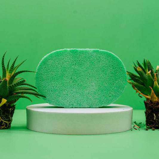 SCENTED SOAP SPONGE - MANGO & PAPAYA